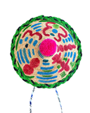 One-of-a-kind Straw Circle Hat Hand Painted